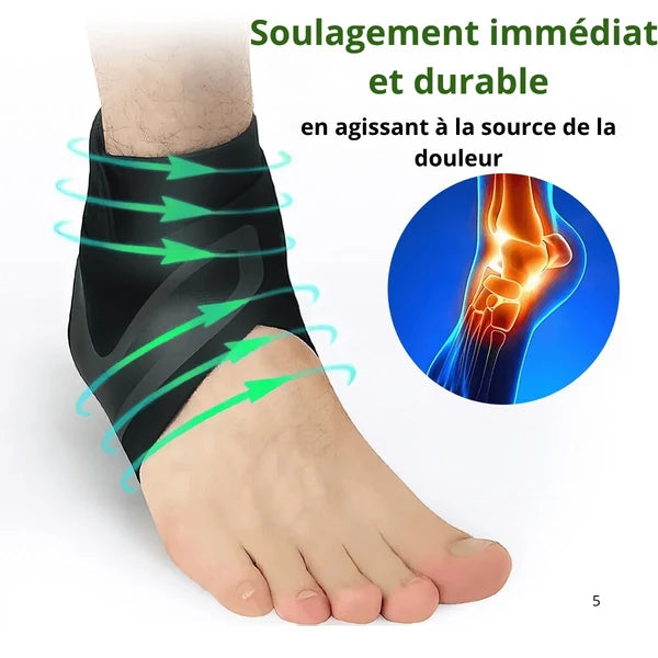 FlexiCheville™ – Retrouvez le plaisir de bouger.