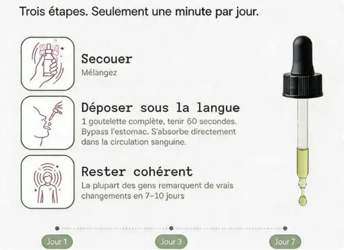 PulmoVita™ – RETROUVE TON SOUFFLE
