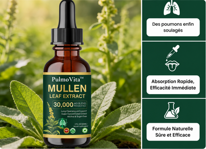 PulmoVita™ – RETROUVE TON SOUFFLE