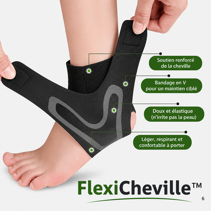 FlexiCheville™ – Retrouvez le plaisir de bouger.